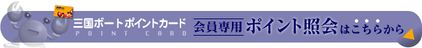 �����p�E�|�C���g�Ɖ�̓R�`������