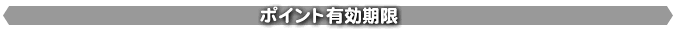 �|�C���g�L������